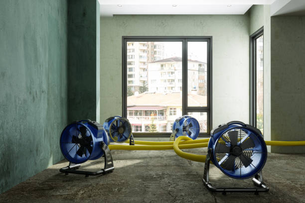 Best 24-hour water damage restoration  in Culver, OR